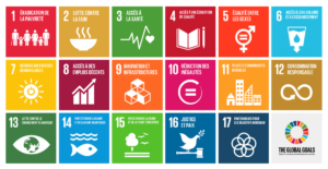 objectifs de développement durable ONU